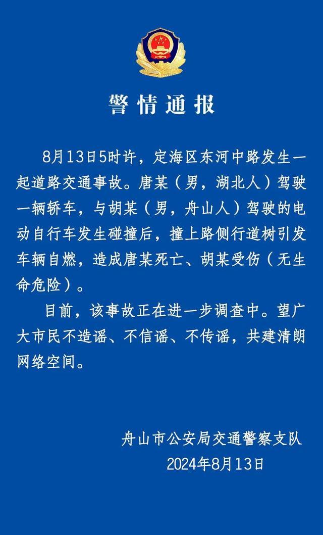 保时捷与电动车碰撞后撞树起火 驾驶员当场死亡