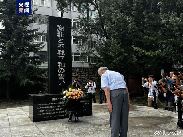 仅剩7人 “日本政府却在等待她们死去” 志愿服务精神缺失