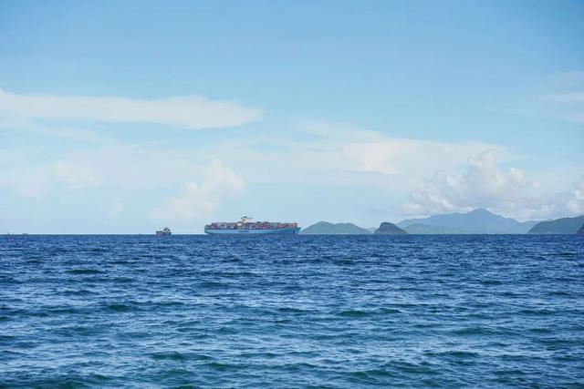 深圳大梅沙海水粪超标 官方回应 游客量大降雨多致水质波动