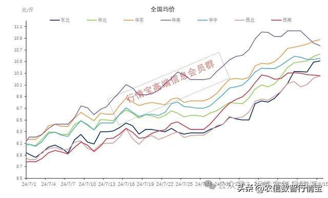 猪价有变！未来还能涨吗？15地猪价飘红待不雅察