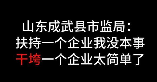 执法人员称干垮一个企业太简单后续