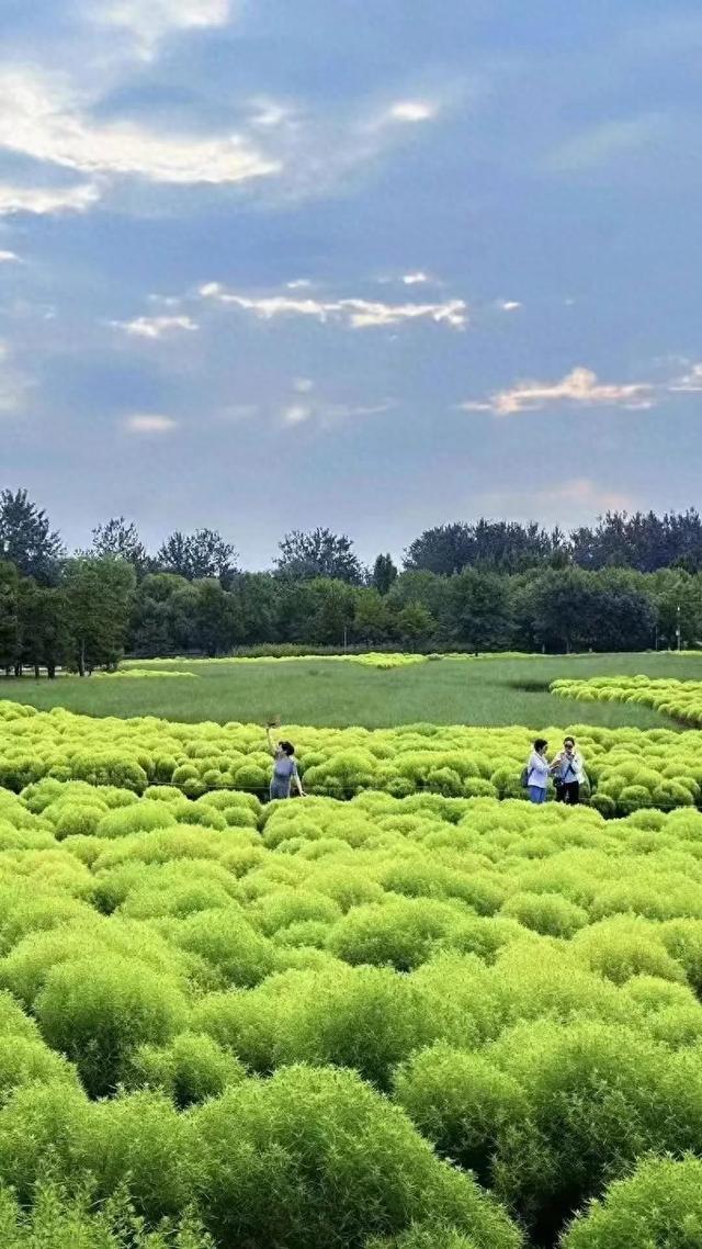 北京现实版“绿野仙踪”打卡地推荐 梦幻秘境探索指南！