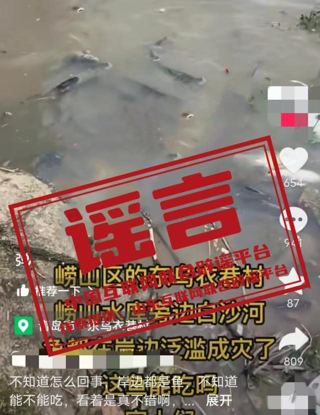 青岛崂山水库鱼类漂浮成灾？假的 警方已介入调查