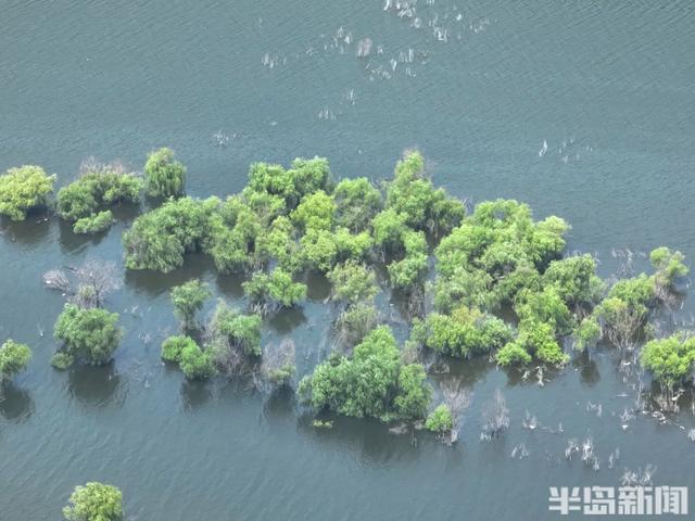 崂山水库“喝饱”，迎最美秋色 碧波荡漾，群山如画