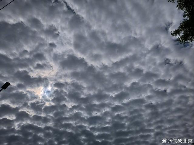 北京天空出现大量“鱼鳞云”，预示什么天气？ 风雨将至，注意防雨安全