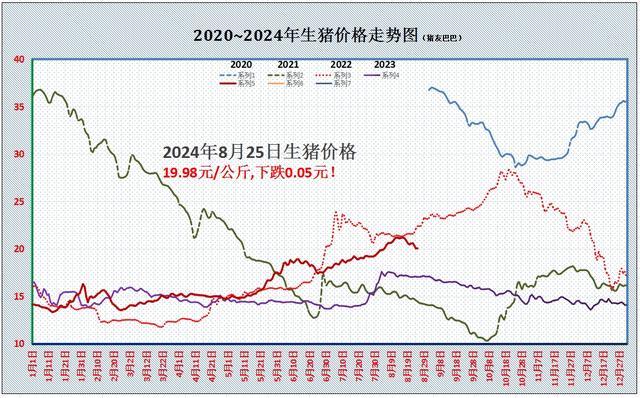 跌不停！猪价“破位”下跌 养殖端心态生变，止跌反弹可期