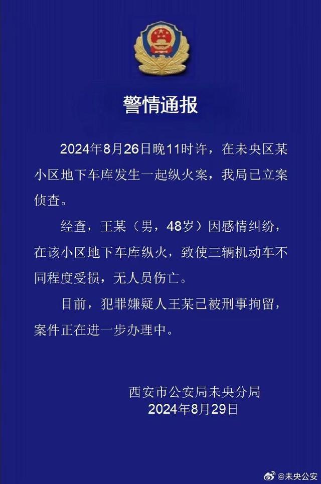 男子纵火致多车被烧 被警方控制