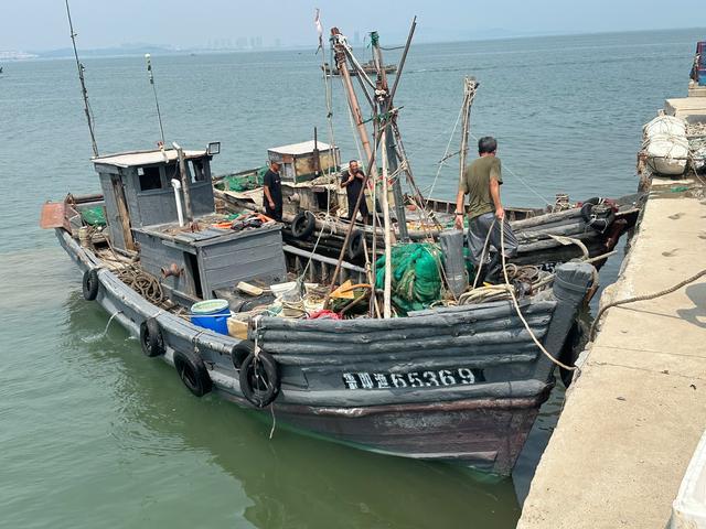 青岛开海 海鲜价格如何 鲜活海鲜海量上市，价格亲民！