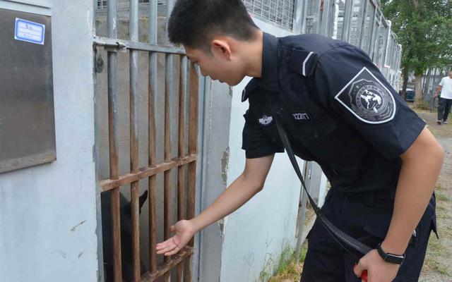 警犬技术专业学生抽签选警犬 40名学生成为未来警界新星