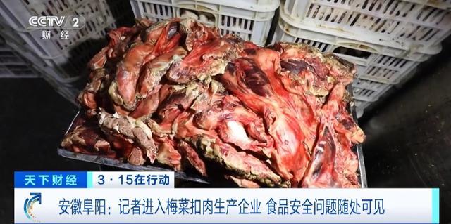 合肥回应三只羊315糟头肉未受处罚 调查中，待证据确凿追责