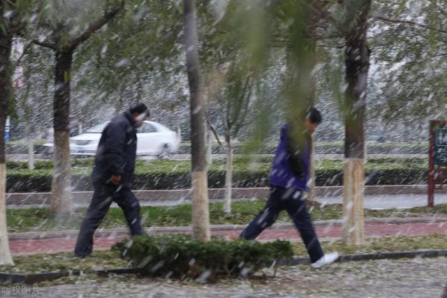 老人说最怕“白露一日雨” 有啥预兆？