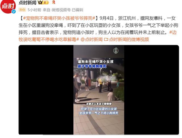 小狗未拴绳吓哭女童被爷爷摔死 宠物狗追孩引悲剧