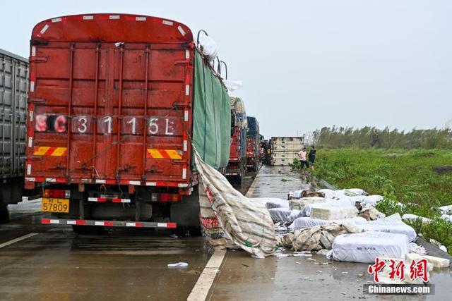 台风过境后的徐闻县：街头树木倒伏，灾后景象曝光