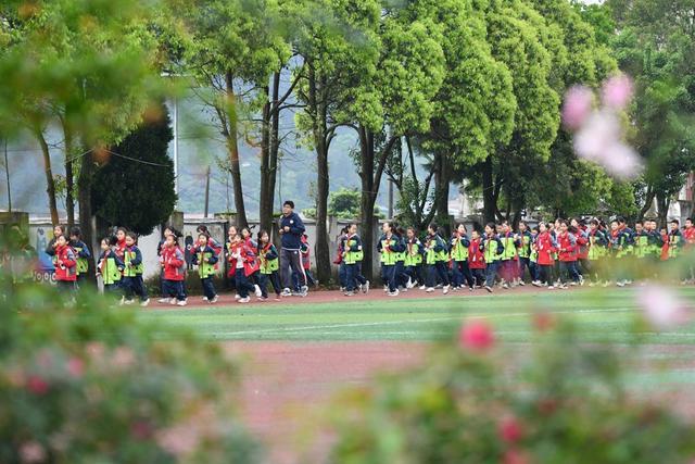 是时候正视小学、幼儿园“关停潮”了 教育结构亟待优化调整