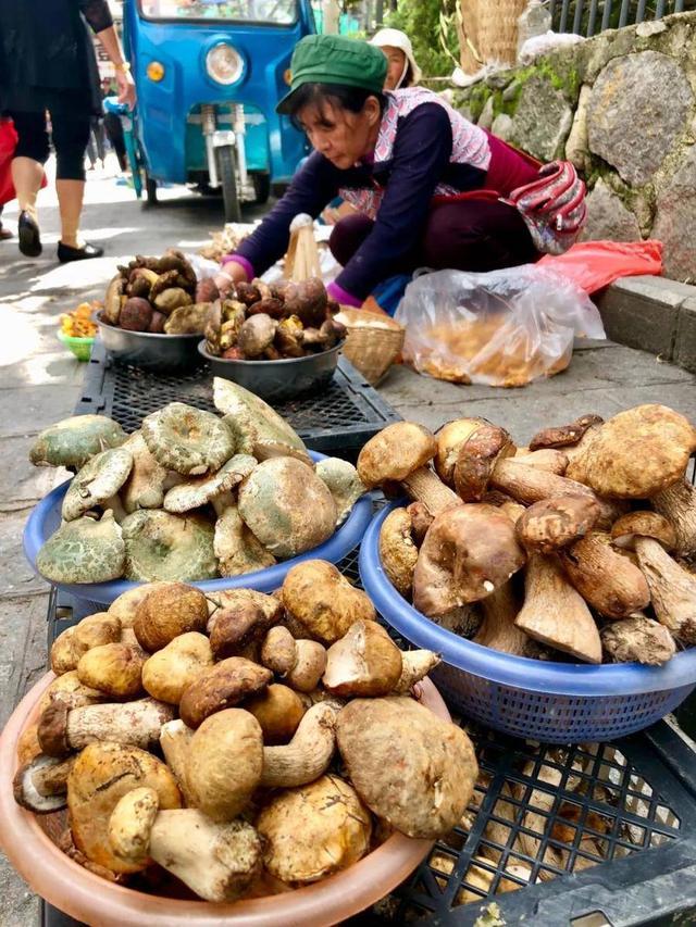 云南威信：人间烟火气最是菜市场