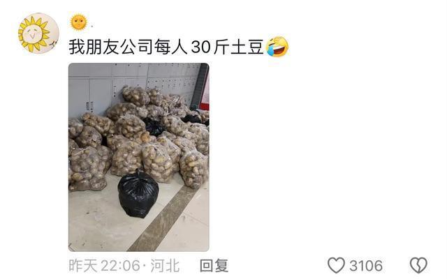 公司中秋节每人发30斤土豆 福利引热议