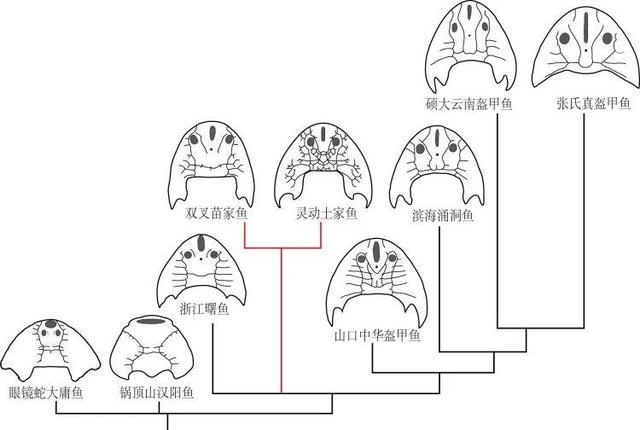 已灭绝4.36亿年的鱼被发现 古老秘密重见天日