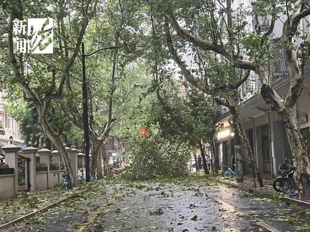 央视记者探访台风后的苏州主城区 14级风力下的苏城现状