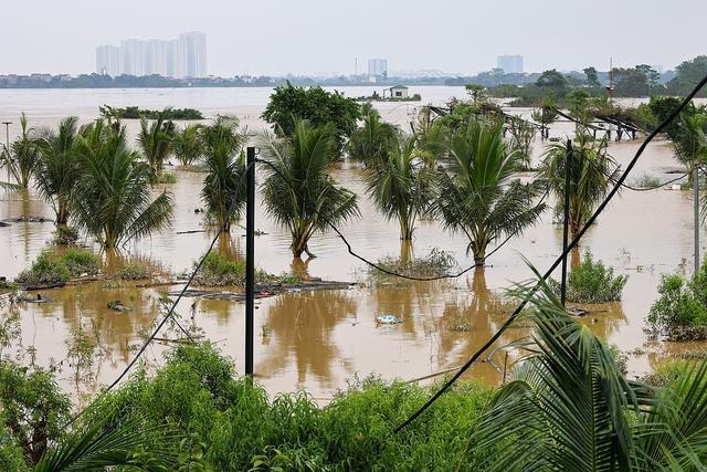 台风“摩羯”已造成越南291人死亡 持续强降雨致灾情严峻