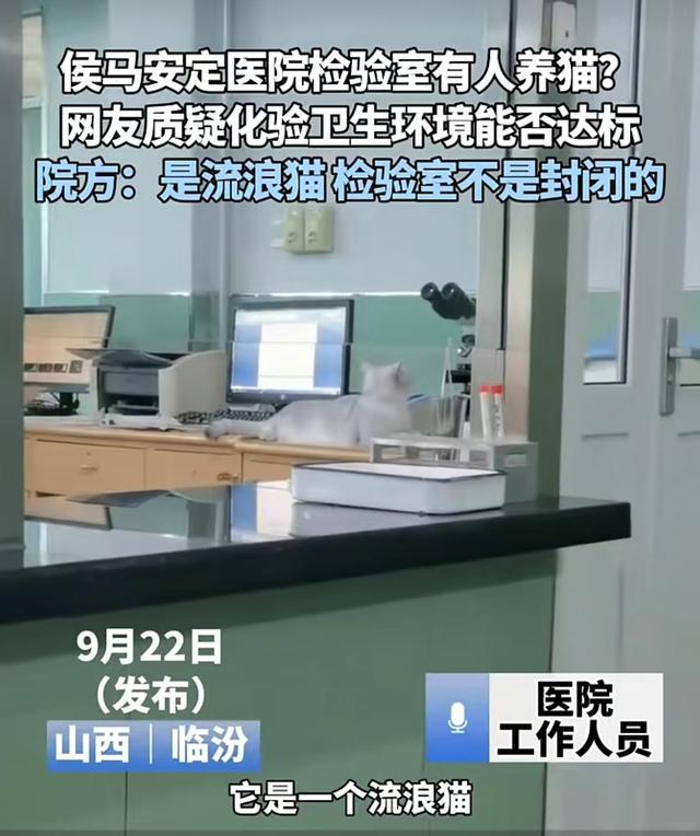 猫在化验室踩到了医院安全底线