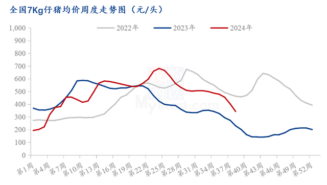 业内预期明年养猪仍盈利