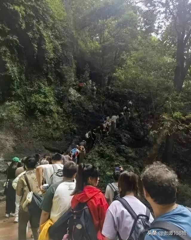 国庆黄山天都峰“人从众” 挤出新高度，乐在其中！