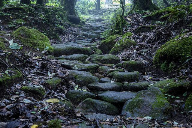 哀牢山未来半个月徒步团已报满 安全徒步引关注