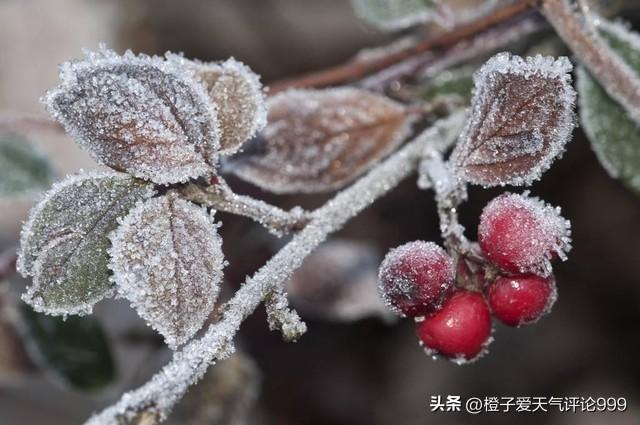 两股冷空气将先后影响我国 局地降温超20℃，大面积雨雪来袭