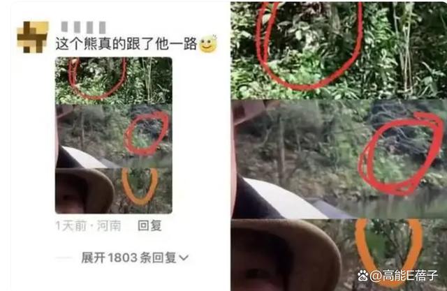 现实版云南虫谷里有什么 探险博主揭秘哀牢山之谜