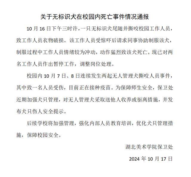 高校保安校内打死流浪狗被停职 因犬只伤人事件引发