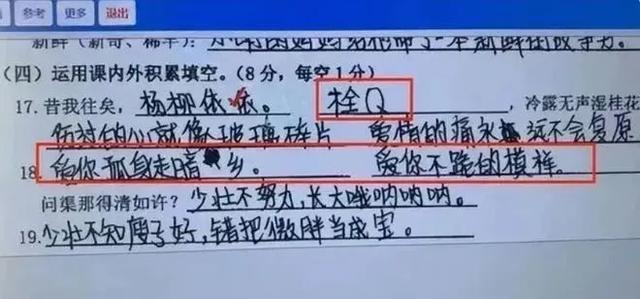 教师称网络热梗泛滥对学生影响太大 探讨利弊与建议