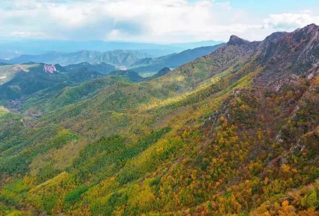 北京秋日红叶氛围感已拉满 层林尽染赏秋时