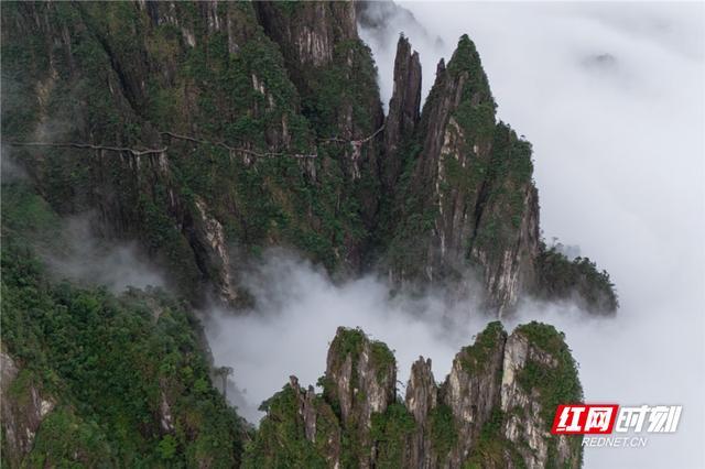 湖南宜章莽山：云海翻涌似仙境 绘壮美画卷