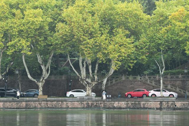 台风康妮登陆浙江无望 风雨影响今晚减弱