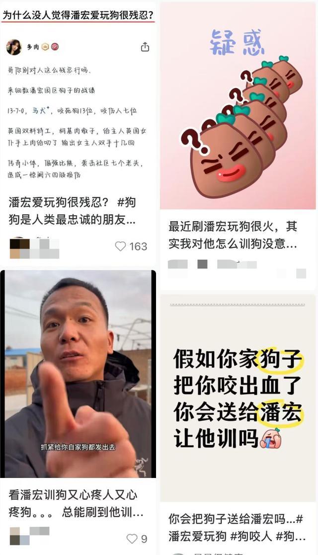 千万粉丝网红宣布暂停直播 因被举报“虐狗”心态崩了