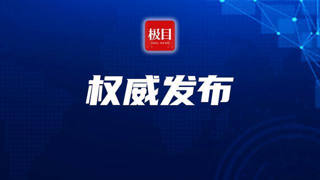 突出贡献！中国维和官兵被联合国表彰