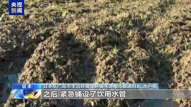 驻日美军附近水污染物超标300倍 居民生活受严重影响(图5)