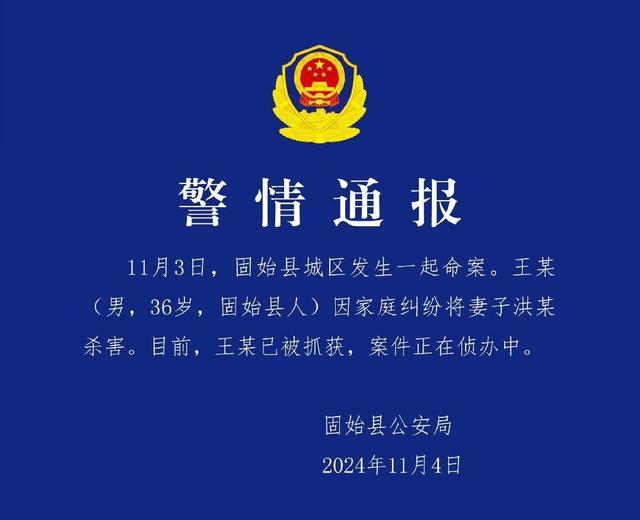 河南固始被害妻子曾多次遭家暴 悲剧引发社会关注