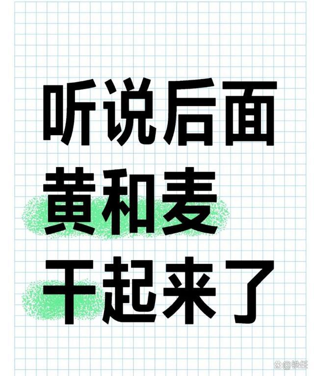 《再见爱人4》：3位女嘉宾关系微妙，麦琳疑似被葛夕、黄圣依孤立 矛盾升级引发关注