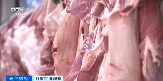 猪肉价格为何连续下降 供应充足导致