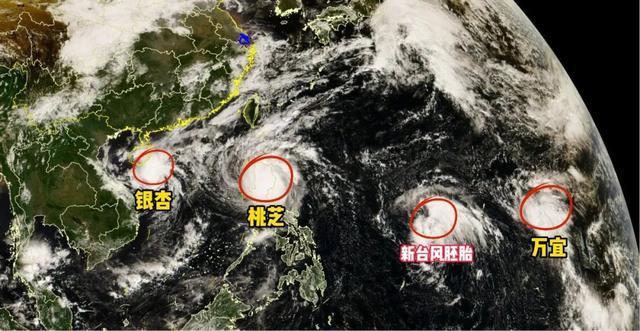 新一股冷空气下周初抵达上海 气温有所下降