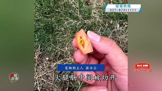 草坪放藏药火腿肠6条狗中招 宠物主东谈主无语报警