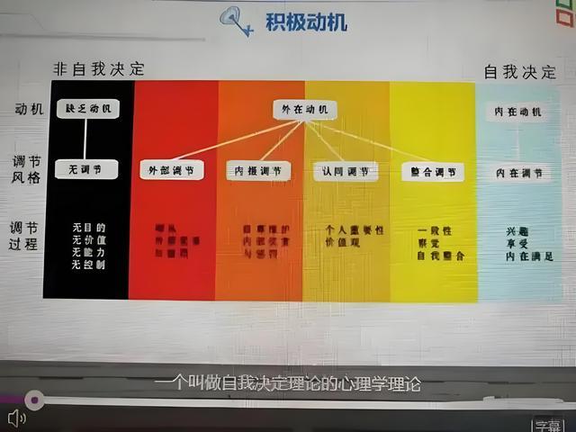 心理医生称麦琳买熏鸡是情绪宣泄 网友热议不断