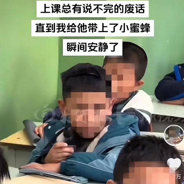 教育厅正核实小蜜蜂老师身份