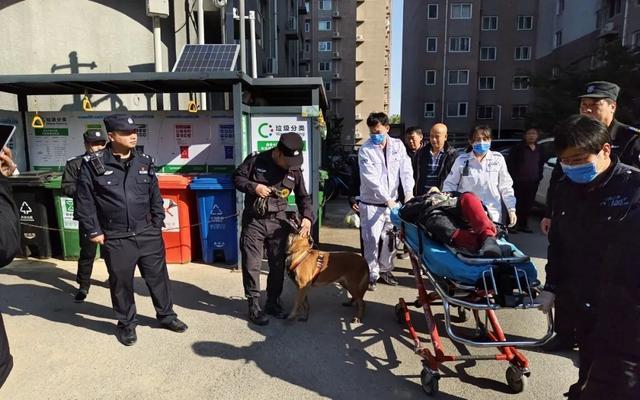 视频 警犬找回91岁老人默默守到120赶来 暖心救援全程记录