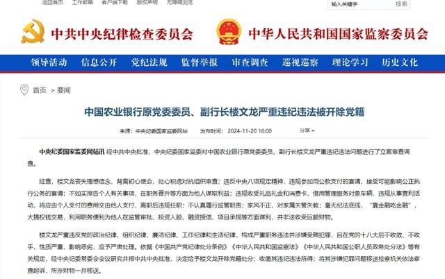 中国农业银行原副行长楼文龙被开除党籍