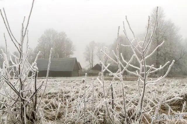 “白天小雪，冻死老牛；晚上小雪，单衣过冬”，今年小雪在几点？