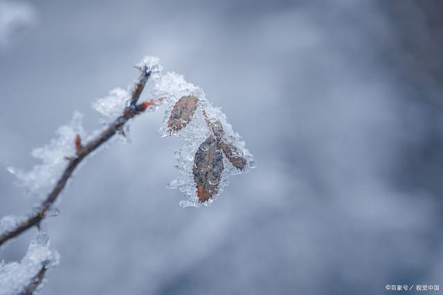 今日小雪“六十年一遇” 有啥说法？预兆寒冬将至