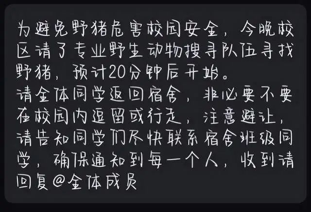 武汉一大学内惊现野猪决骤 校园加强巡视驻扎