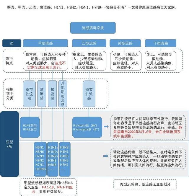 都是流感有什么不同